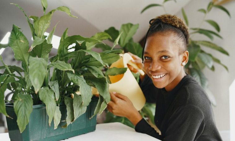 Struggling to Keep Your Plants Alive? These Tips From a Plant Mum Will Keep Them Healthy