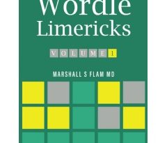 “Wordle Limericks: Flamericks” by Dr. Marshall S Flam – A Clever and Entertaining Twist on Word Play