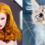 Hillary Duff’s New Cat Named In Honour Of Jinkx Monsoon