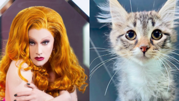 Hillary Duff’s New Cat Named In Honour Of Jinkx Monsoon