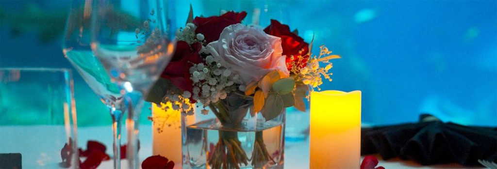 Dine With a Mesmerizing View this Valentine’s Day at SeaWorld® Yas Island, Abu Dhabi