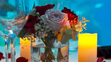 Dine With a Mesmerizing View this Valentine’s Day at SeaWorld® Yas Island, Abu Dhabi