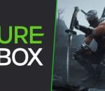 Pure Xbox Game Club February 2025: Ninja Gaiden 2 Black