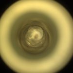 NASA’s Mars rover collects rock sample ‘unlike anything we’ve seen before’