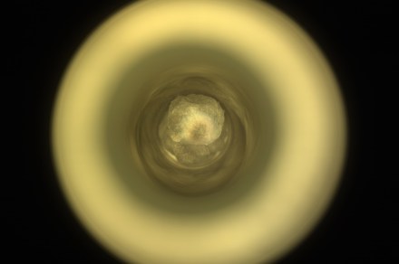 NASA’s Mars rover collects rock sample ‘unlike anything we’ve seen before’