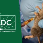 Diphtheria crisis: NCDC reports over 41,000 suspected cases across all states  
