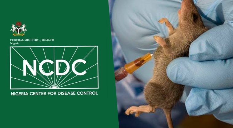 Diphtheria crisis: NCDC reports over 41,000 suspected cases across all states