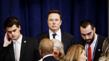 Why Is Elon Musk So Hell-Bent on Bulldozing the Government?