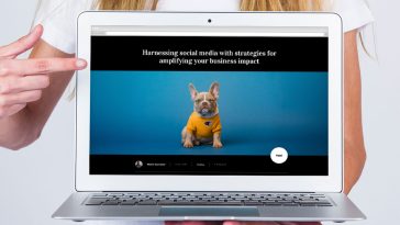 Stop paying monthly for site builders—own MaxiBlocks for life for $59