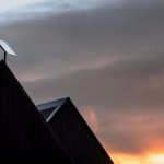 Starlink remains best for rural Canada despite falling download speeds