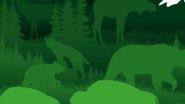 After Trump killed a report on nature, researchers push ahead with release