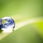 Sustainable Foods Summit Asia 2025: Dole, Meatiply, Google to highlight critical aspects of sustainable food systems