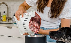 Best Dog Food Delivery Services for 2025