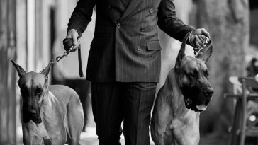 Seth Rogen Doesn’t Buy Complaints That Modern Comedy Is Too PC