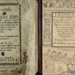 Droughts, Locusts, and Plague: 16th-Century Transylvanian Diaries Expose Climate Chaos