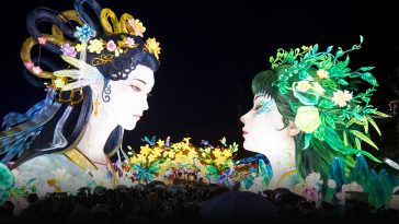 Collage: The Year of the Snake