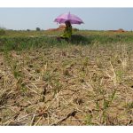 Europe’s Defense Budget Rips Through Its Climate-Crisis Buffer