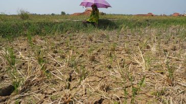 Europe’s Defense Budget Rips Through Its Climate-Crisis Buffer