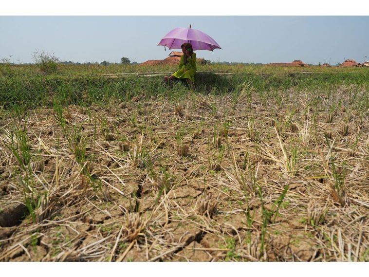 Europe’s Defense Budget Rips Through Its Climate-Crisis Buffer