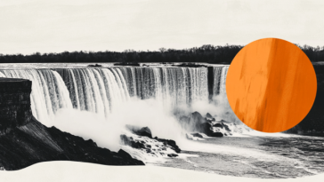 US President Donald Trump mulls exempting certain agricultural products from Canada, Mexico tariffs