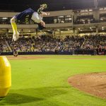 Baseball Gone Bananas