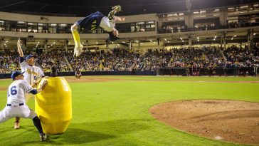 Baseball Gone Bananas