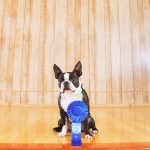 When Your Colleague Is Jealous of Your Success