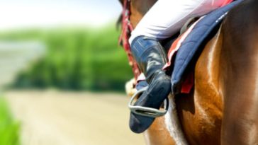 RMG & Playtech Sports to Offer In-Play Bets on the Cheltenham Festival