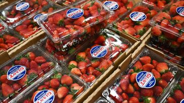 Justice Dept. says ending Louisiana petrochemical case helps ‘dismantle radical DEI programs’