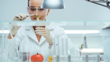 Nestlé‘s global head of food safety on digital and AI