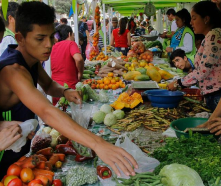 Inflación no llegaría a la meta fijada para este año, según Scotiabank Colpatria