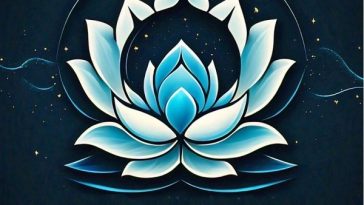 Find guidance from Dr. Adams Adam spiritual space