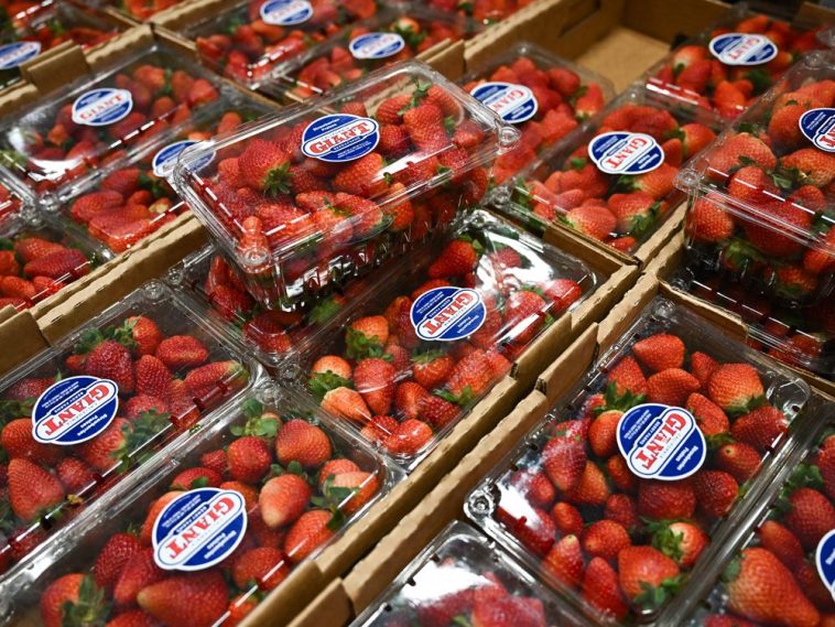 DOGE’s Push for Americans’ Data Meets Mixed Response From Judges