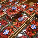 BWT Alpine Formula One Team Announces Partnership with viagogo