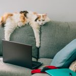 Research: When Boredom Drives Turnover on Your Team