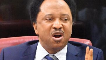 Shehu Sani labels El-Rufai as ‘APC’s biggest liability’