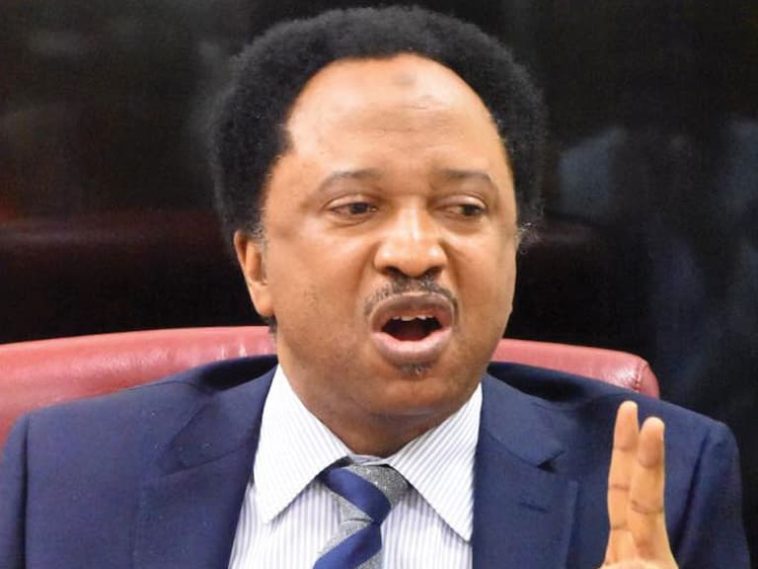 Shehu Sani labels El-Rufai as ‘APC’s biggest liability’