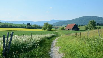 Országszerte lezárások jöhetnek az 50 év után megjelent betegség miatt