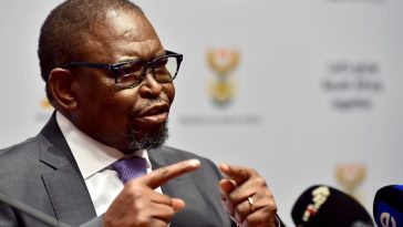 South Africa: Full Budget 2025 Speech by Minister Godongwana