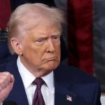 Trump tells NATO chief the US needs Greenland