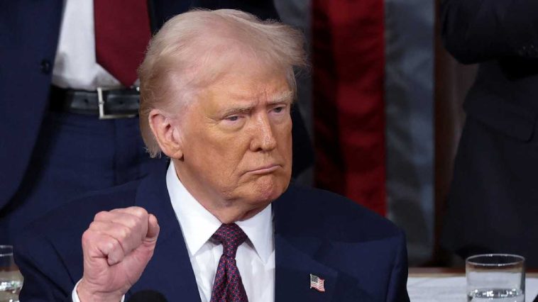 Trump tells NATO chief the US needs Greenland