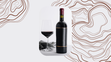 Wine Not? 9 Red Wines to Make Any Occasion Special