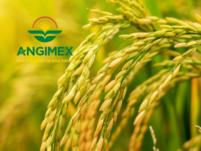 Angimex bị phạt 80 triệu vì giao dịch không báo cáo