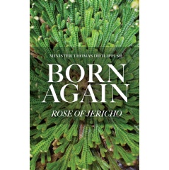 Minister Thomas DiFilippi Sr.’s “Born Again: Rose of Jericho” Will Be Displayed at the 2025 L.A. Times Festival of Books
