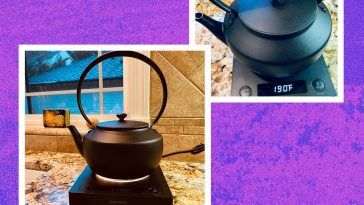 Balmuda MoonKettle Review: a Luxury Electric Kettle
