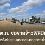 อ.ต.ก. จ่อขายข้าวฟิลิปินส์ หวังช่วยเกษตรกรช่วงราคาตกต่ำ