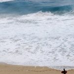 Ocean carbon solutions face growth and environmental challenges