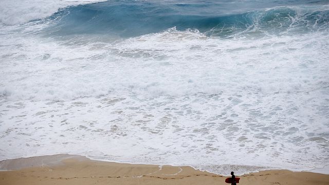 Ocean carbon solutions face growth and environmental challenges