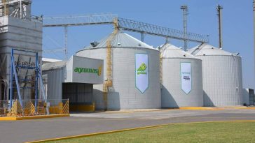 Subirán 37% inversiones de Gruma; sumarán 320 mdd