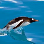 Linux kernel 6.14 is a big leap forward in performance and Windows compatibility